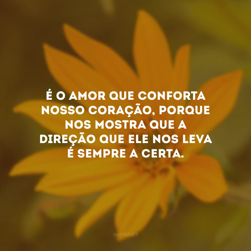 É o amor que conforta nosso coração, porque nos mostra que a direção que ele nos leva é sempre a certa.