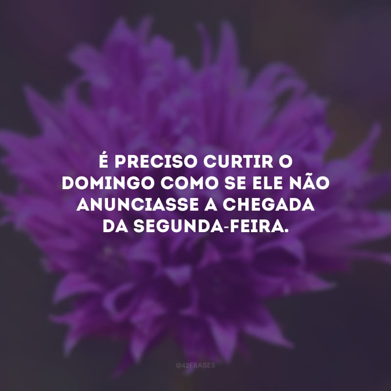 É preciso curtir o domingo como se ele não anunciasse a chegada da segunda-feira.