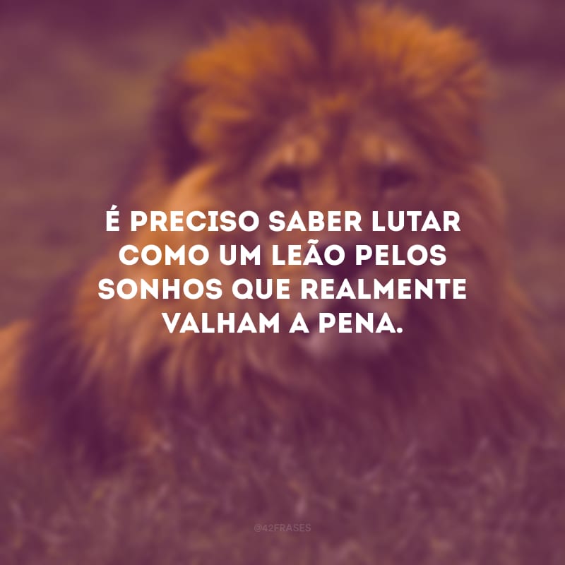 É preciso saber lutar como um leão pelos sonhos que realmente valham a pena.