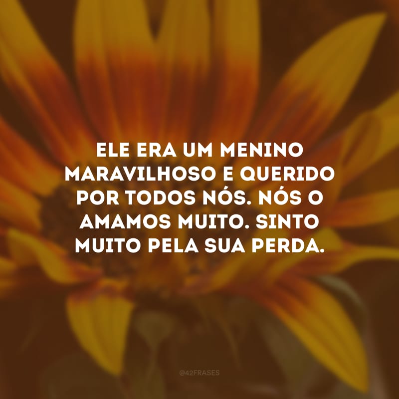 Ele era um menino maravilhoso e querido por todos nós. Nós o amamos muito. Sinto muito pela sua perda.