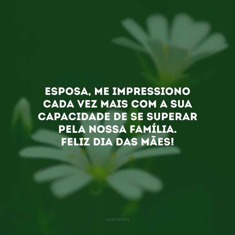 Esposa, me impressiono cada vez mais com a sua capacidade de se superar pela nossa família. Feliz Dia das Mães!