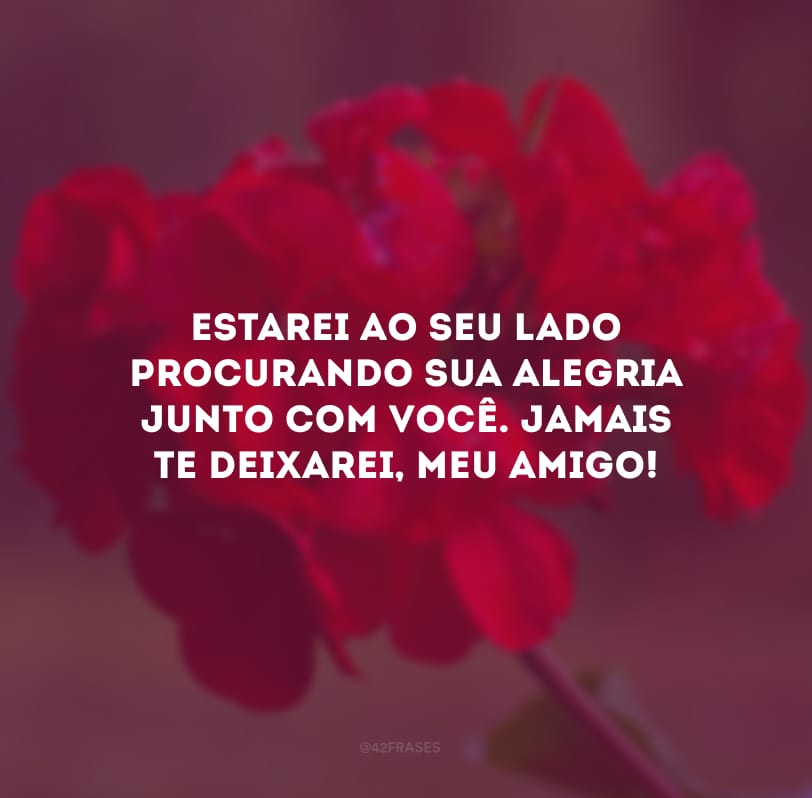 Estarei ao seu lado procurando sua alegria junto com você. Jamais te deixarei, meu amigo!