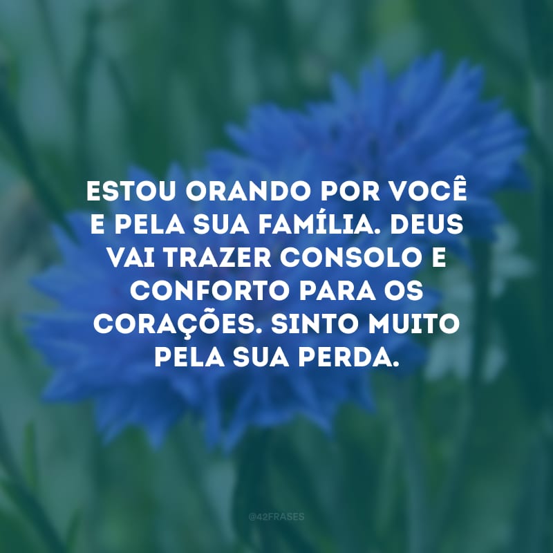 Estou orando por você e pela sua família. Deus vai trazer consolo e conforto para os corações. Sinto muito pela sua perda.