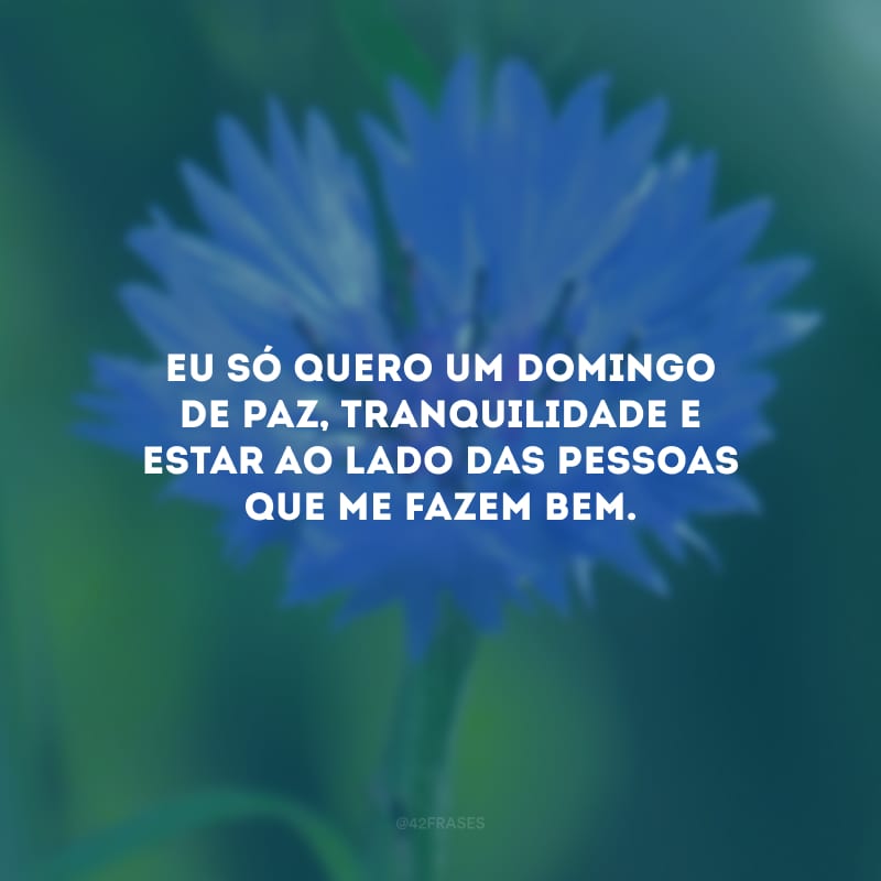 Eu só quero um domingo de paz, tranquilidade e estar ao lado das pessoas que me fazem bem.