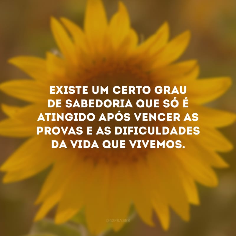 Existe um certo grau de sabedoria que só é atingido após vencer as provas e as dificuldades da vida que vivemos.