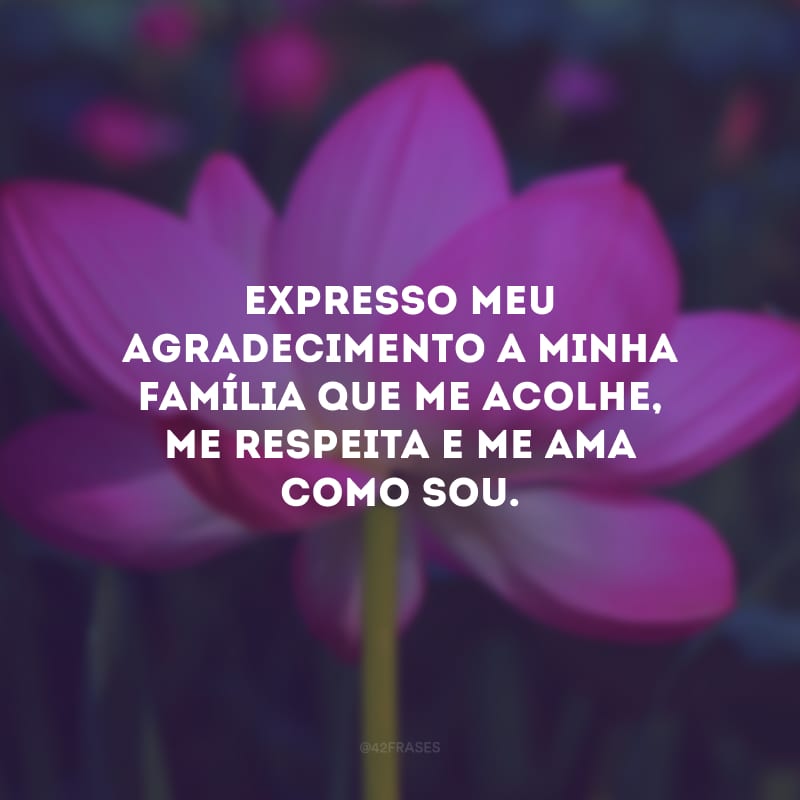 Expresso meu agradecimento a minha família que me acolhe, me respeita e me ama como sou.