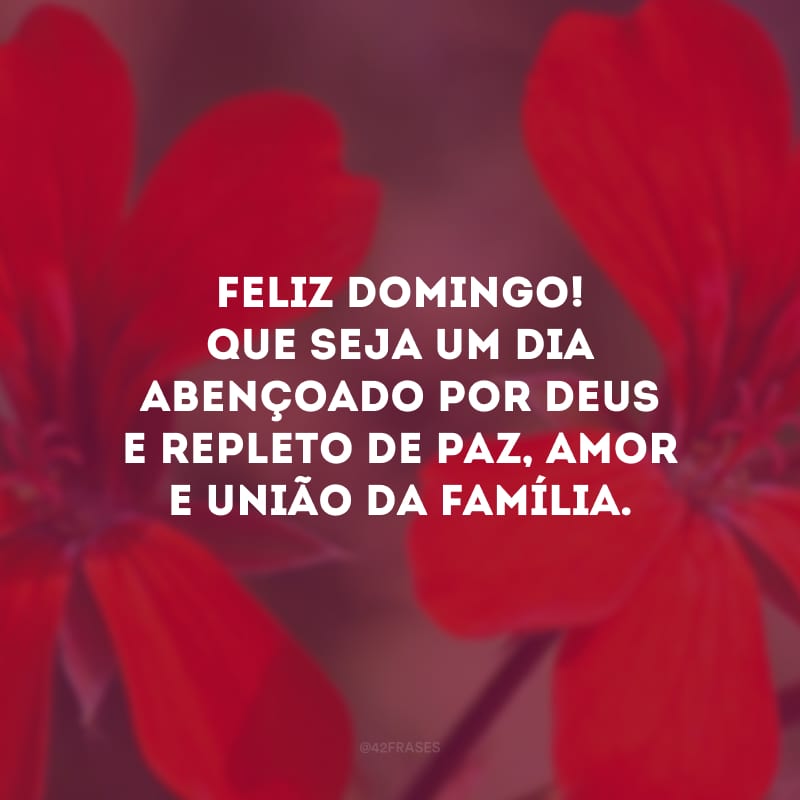 Feliz domingo! Que seja um dia abençoado por Deus e repleto de paz, amor e união da família.