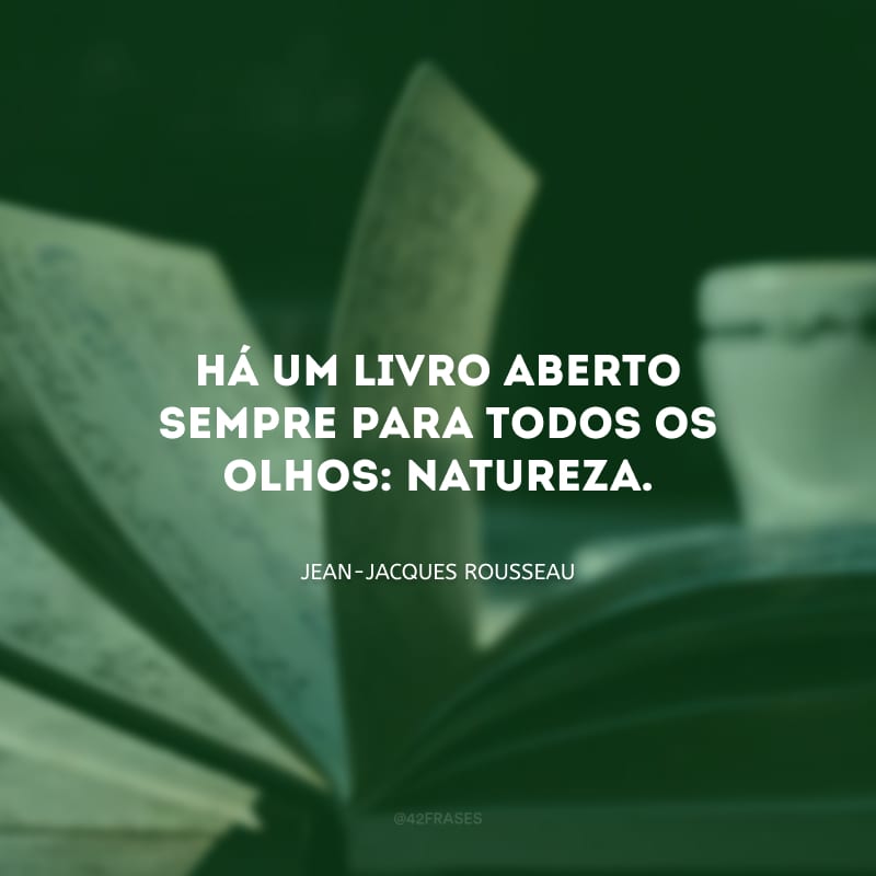 Há um livro aberto sempre para todos os olhos: natureza.