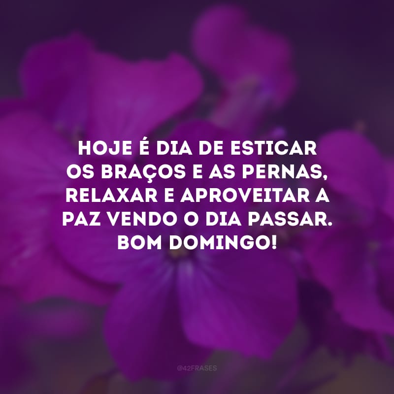 Hoje é dia de esticar os braços e as pernas, relaxar e aproveitar a paz vendo o dia passar. Bom domingo!