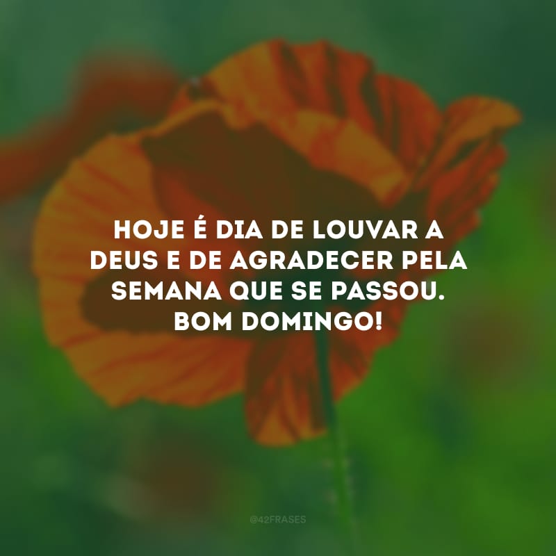 Hoje é dia de louvar a Deus e de agradecer pela semana que se passou. Bom domingo!