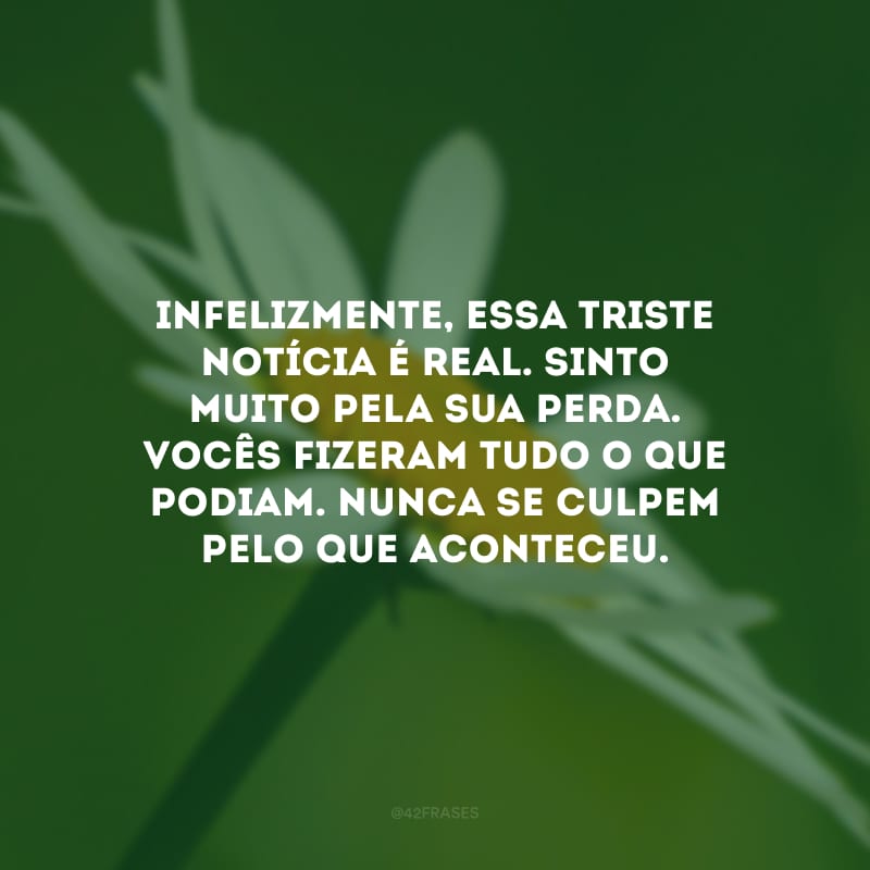 Infelizmente, essa triste notícia é real. Sinto muito pela sua perda. Vocês fizeram tudo o que podiam. Nunca se culpem pelo que aconteceu.