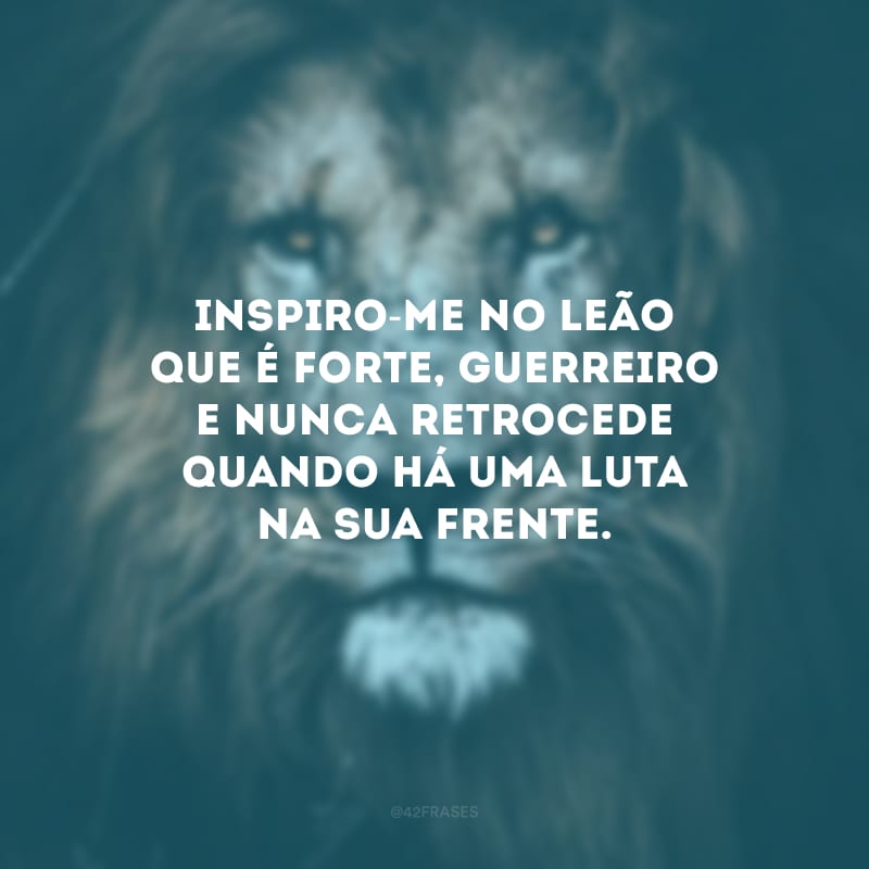 Inspiro-me no leão que é forte, guerreiro e nunca retrocede quando há uma luta na sua frente.