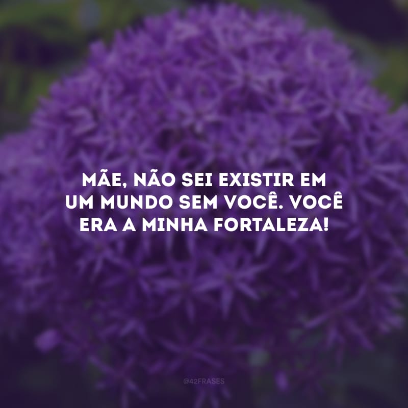 Mãe, não sei existir em um mundo sem você. Você era a minha fortaleza! 