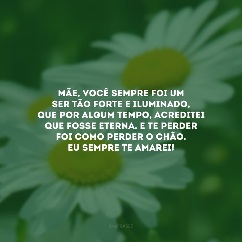 Mãe, você sempre foi um ser tão forte e iluminado, que por algum tempo, acreditei que fosse eterna. E te perder foi como perder o chão. Eu sempre te amarei! 