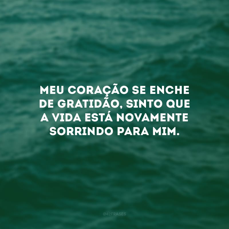 Meu coração se enche de gratidão, sinto que a vida está novamente sorrindo para mim.