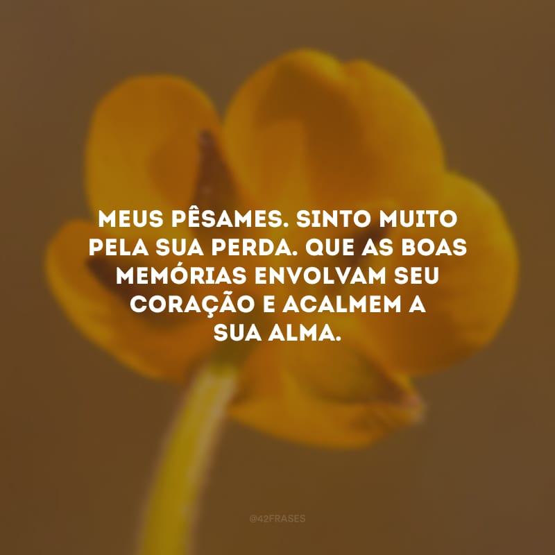 Meus pêsames. Sinto muito pela sua perda. Que as boas memórias envolvam seu coração e acalmem a sua alma.