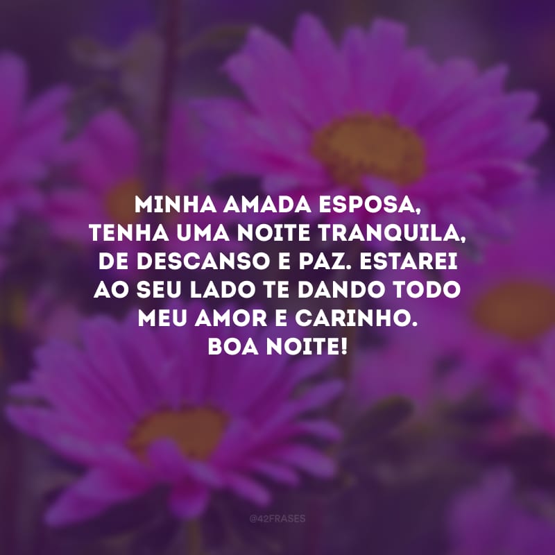 Minha amada esposa, tenha uma noite tranquila, de descanso e paz. Estarei ao seu lado te dando todo meu amor e carinho. Boa noite!