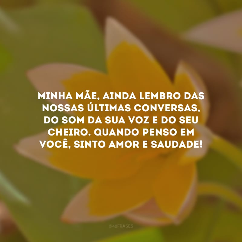 Minha mãe, ainda lembro das nossas últimas conversas, do som da sua voz e do seu cheiro. Quando penso em você, sinto amor e saudade!