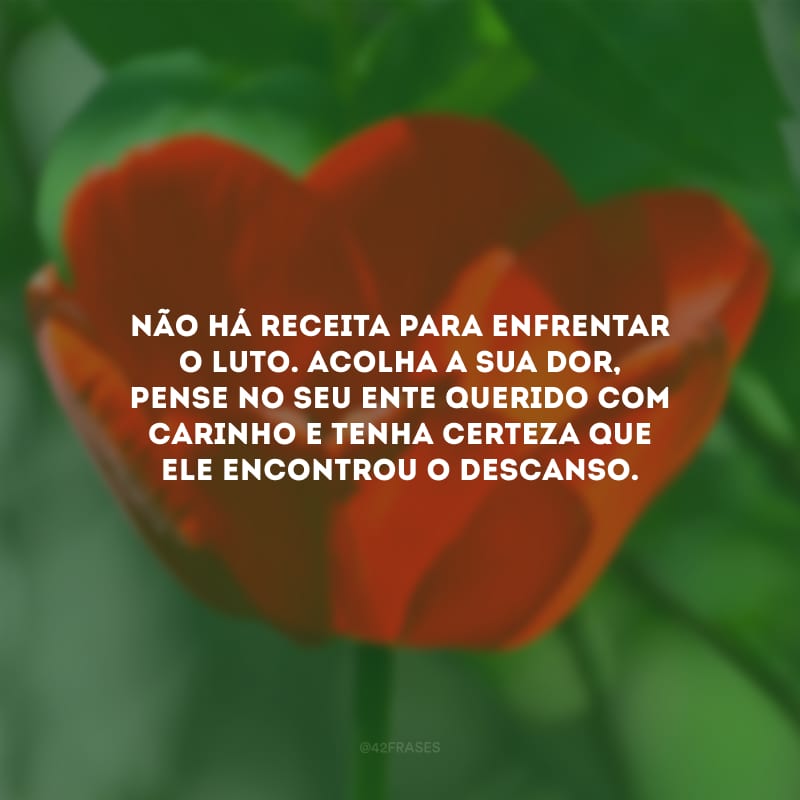 Não há receita para enfrentar o luto. Acolha a sua dor, pense no seu ente querido com carinho e tenha certeza que ele encontrou o descanso.