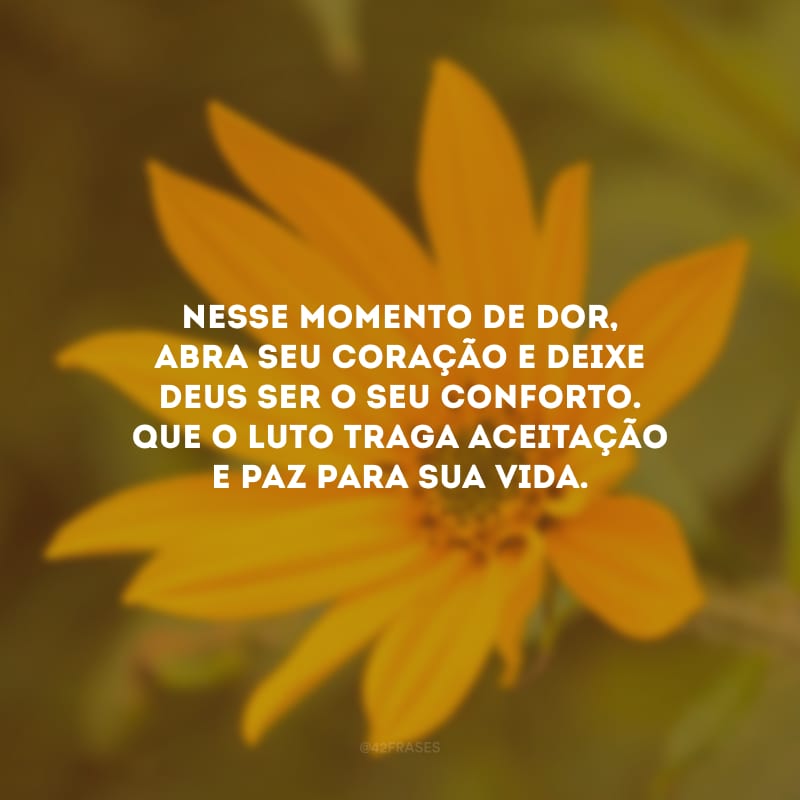 Nesse momento de dor, abra seu coração e deixe Deus ser o seu conforto. Que o luto traga aceitação e paz para sua vida.