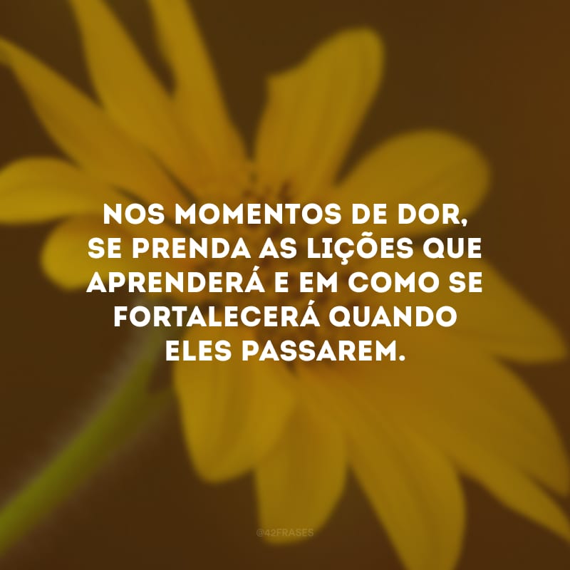 Nos momentos de dor, se prenda as lições que aprenderá e em como se fortalecerá quando eles passarem.