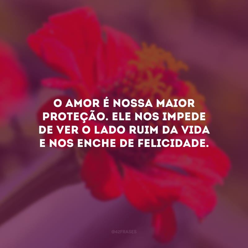 O amor é nossa maior proteção. Ele nos impede de ver o lado ruim da vida e nos enche de felicidade.