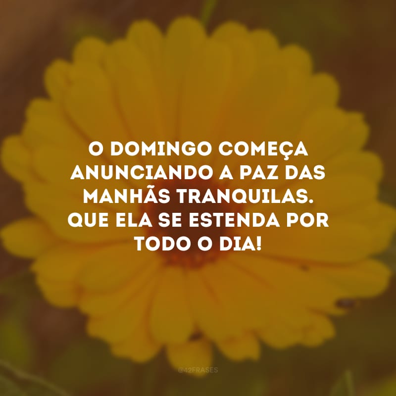 O domingo começa anunciando a paz das manhãs tranquilas. Que ela se estenda por todo o dia!