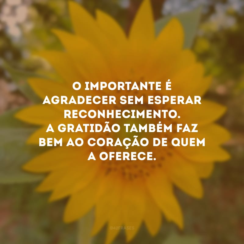 O importante é agradecer sem esperar reconhecimento. A gratidão também faz bem ao coração de quem a oferece.