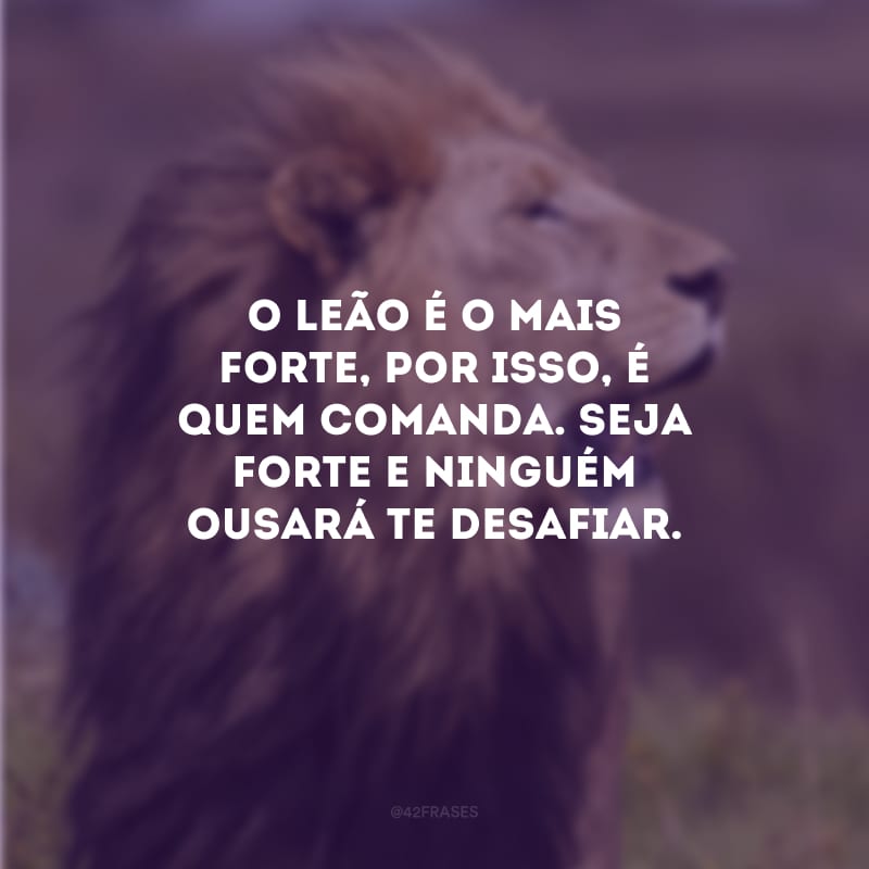 O leão é o mais forte, por isso, é quem comanda. Seja forte e ninguém ousará te desafiar.