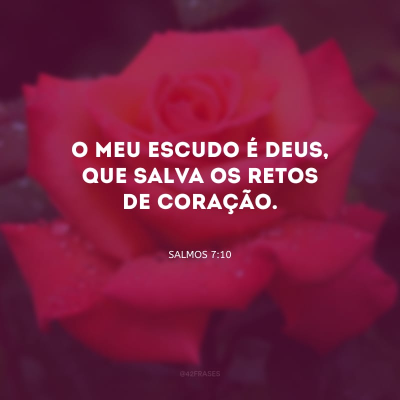 O meu escudo é Deus, que salva os retos de coração.