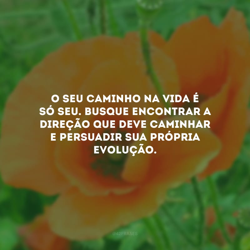 O seu caminho na vida é só seu. Busque encontrar a direção que deve caminhar e persuadir sua própria evolução.