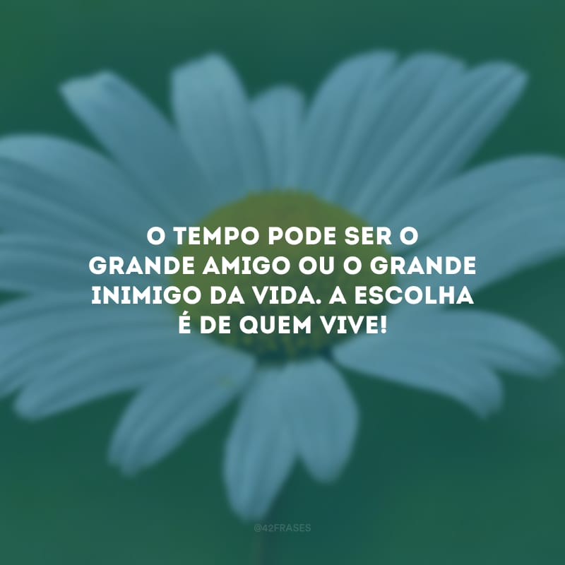 O tempo pode ser o grande amigo ou o grande inimigo da vida. A escolha é de quem vive! 