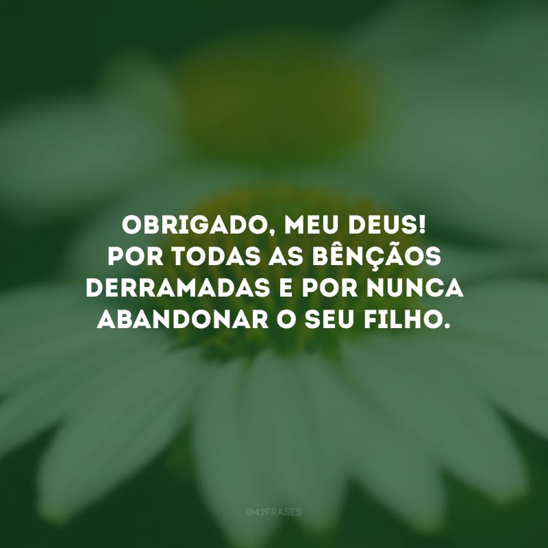 Obrigado, meu Deus! Por todas as bênçãos derramadas e por nunca abandonar o seu filho.