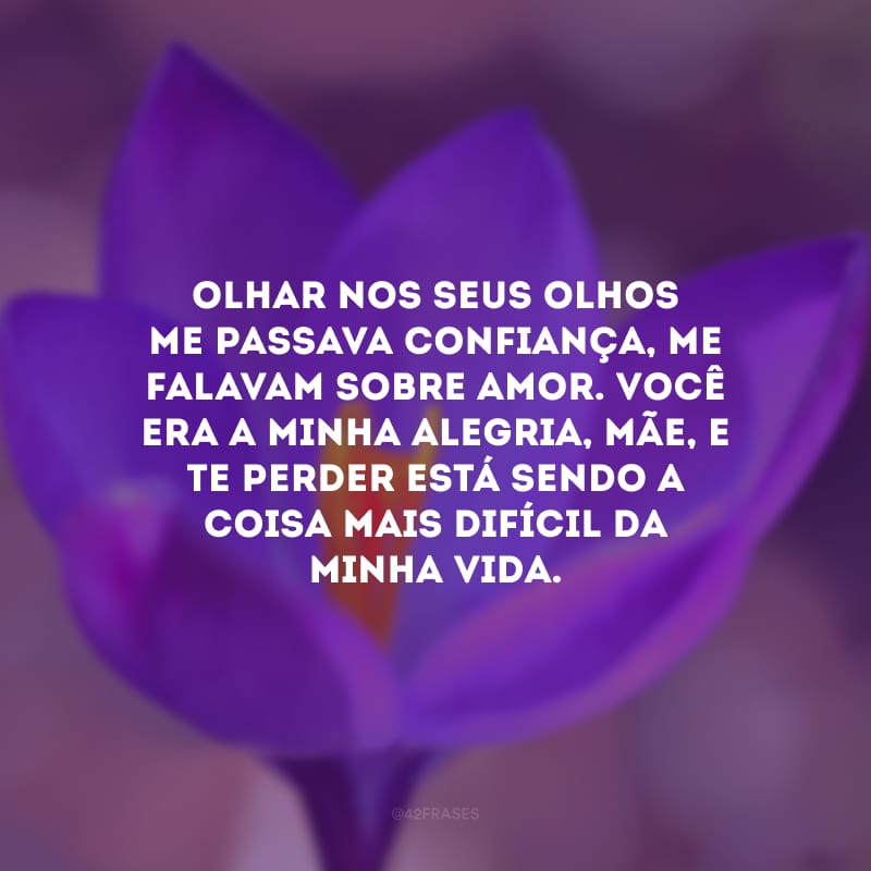 Olhar nos seus olhos me passava confiança, me falavam sobre amor. Você era a minha alegria, mãe, e te perder está sendo a coisa mais difícil da minha vida. 