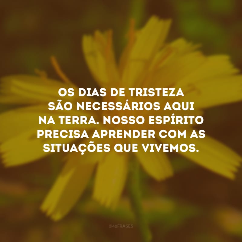 Os dias de tristeza são necessários aqui na Terra. Nosso espírito precisa aprender com as situações que vivemos.