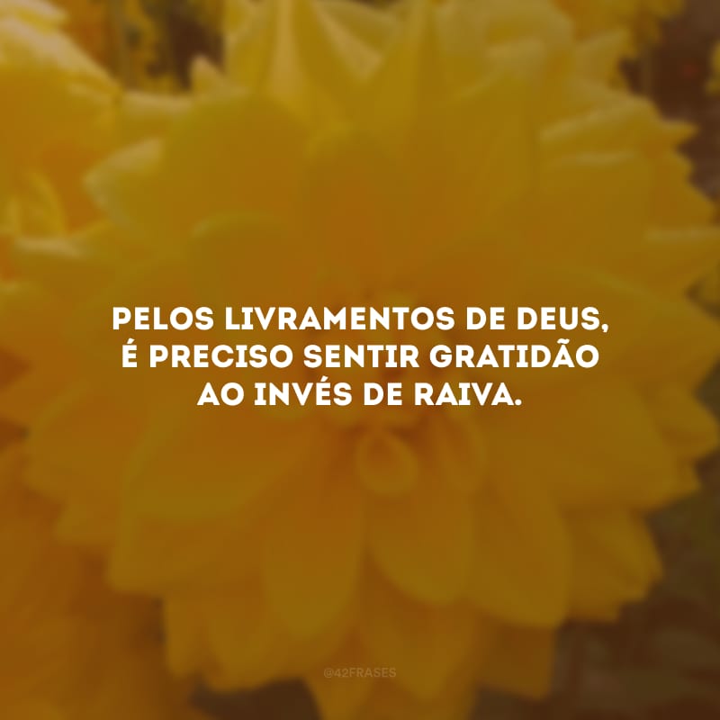 Pelos livramentos de Deus, é preciso sentir gratidão ao invés de raiva.