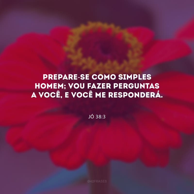 Prepare-se como simples homem; vou fazer perguntas a você, e você me responderá.
