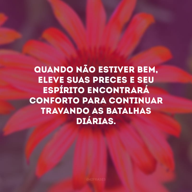 Quando não estiver bem, eleve suas preces e seu espírito encontrará conforto para continuar travando as batalhas diárias.