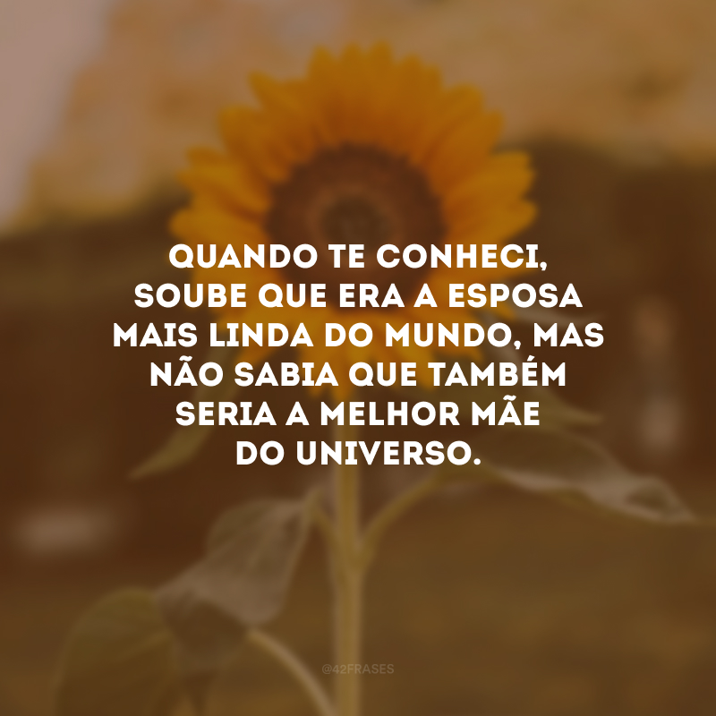 Quando te conheci, soube que era a esposa mais linda do mundo, mas não sabia que também seria a melhor mãe do universo. 