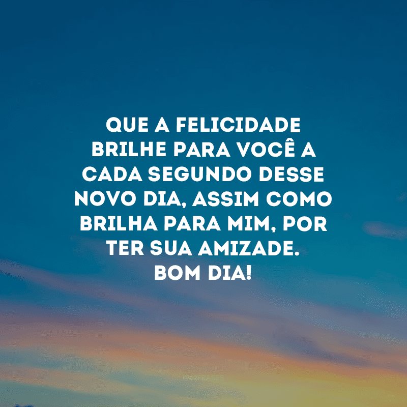 Que a felicidade brilhe para você a cada segundo desse novo dia, assim como brilha para mim, por ter sua amizade. Bom dia! 