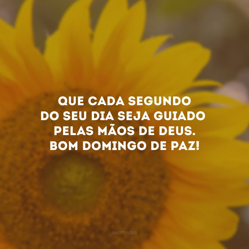 Que cada segundo do seu dia seja guiado pelas mãos de Deus. Bom domingo de paz!