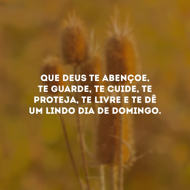 Que Deus te abençoe, te guarde, te cuide, te proteja, te livre e te dê um lindo dia de domingo.