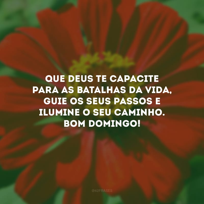 Que Deus te capacite para as batalhas da vida, guie os seus passos e ilumine o seu caminho. Bom domingo! 