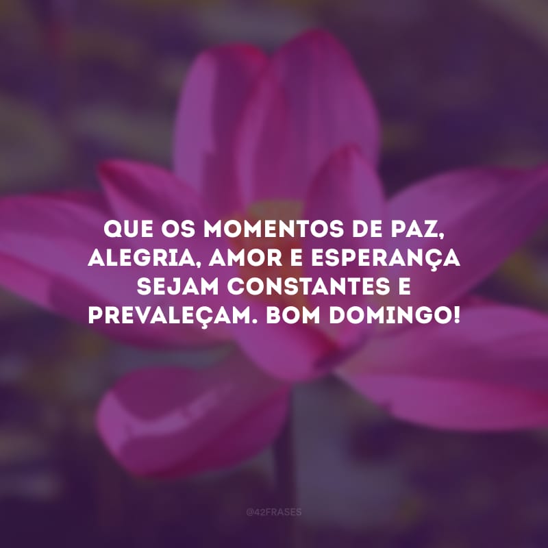 Que os momentos de paz, alegria, amor e esperança sejam constantes e prevaleçam. Bom domingo!