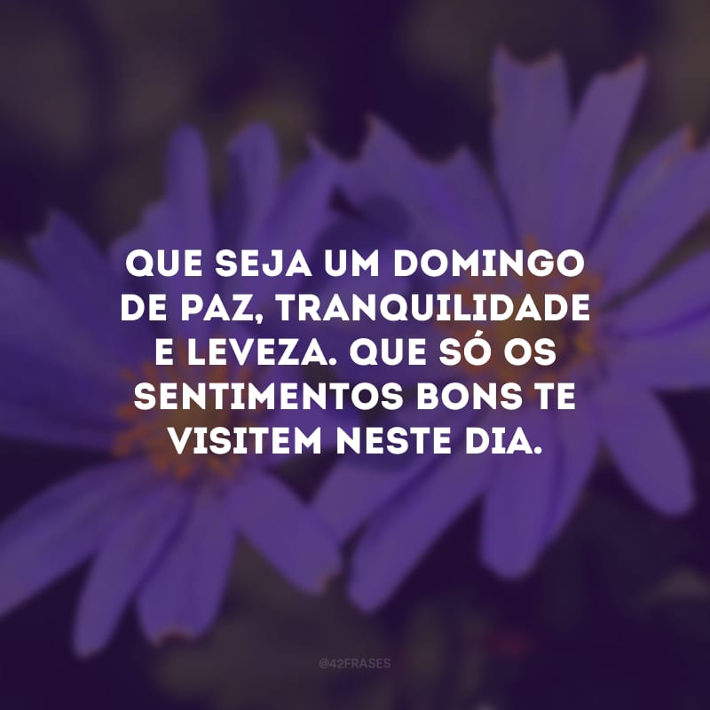 Que seja um domingo de paz, tranquilidade e leveza. Que só os sentimentos bons te visitem neste dia.