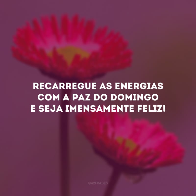 Recarregue as energias com a paz do domingo e seja imensamente feliz!