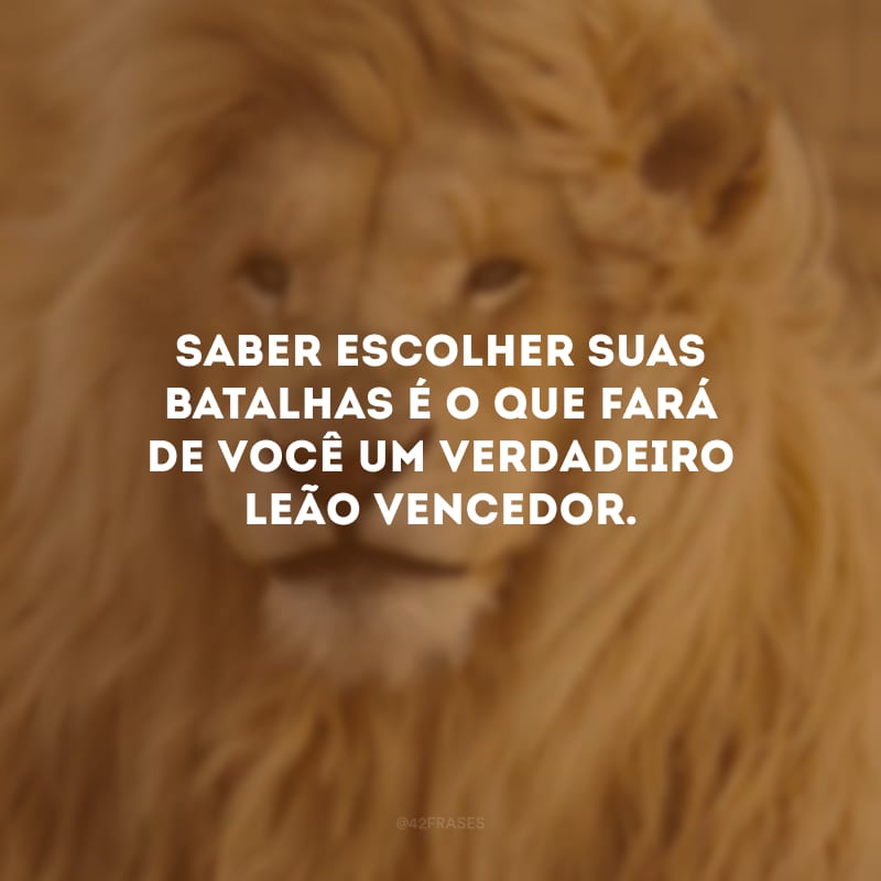 Saber escolher suas batalhas é o que fará de você um verdadeiro leão vencedor.