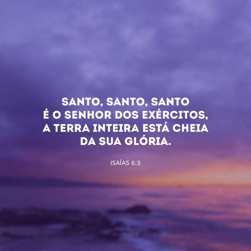 Santo, santo, santo é o Senhor dos Exércitos, a terra inteira está cheia da sua glória.