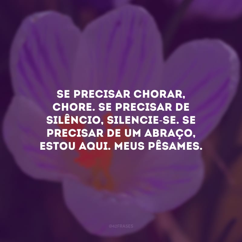 Se precisar chorar, chore. Se precisar de silêncio, silencie-se. Se precisar de um abraço, estou aqui. Meus pêsames.