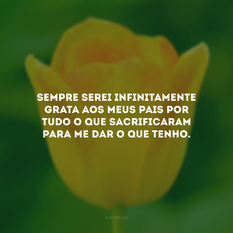 Sempre serei infinitamente grata aos meus pais por tudo o que sacrificaram para me dar o que tenho.